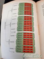 Testo del periodo fascista “IL LIBRO DI CULTURA MILITARE – VOLUME I” 1938 (REGNO D'ITALIA)