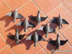 Stampe storni ali aperte (8 pezzi)