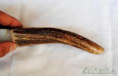 COLTELLO ARTIGIANALE REALIZZATO A MANO CON IMPUGNATURA IN CORNO DI CERVO