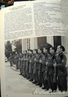 Distintivo d’onore “M” per Gruppo Carri “Leonessa”- G.N.R. - Estremamente raro (ITALIA RSI)