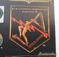 Scudetto da braccio 101' Gruppo Autonomo Caccia T. Aeronautica Repubblicana - Expertise (ITALIA RSI)