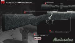 Winchester 70 Extreme Weather 243 win.