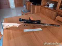 Carabina Ruger cal. 22 l.r. Più ottica