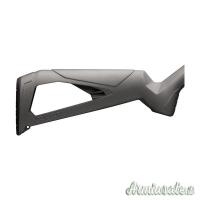 Winchester XPERT  22LR