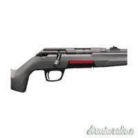 Winchester XPERT  22LR