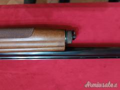 Franchi AL48 12