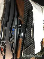 Benelli Raffaello Centro