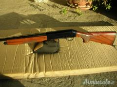 Benelli Raffaello Centro