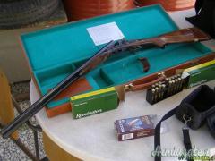 express cani esterni Gitti 444marlin