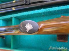 express cani esterni Gitti 444marlin