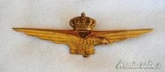 DISTINTIVO/BREVETTO DA PILOTA MILITARE D’AEROPLANO REGIA AERONAUTICA MOD. 1935 “JOHNSON”