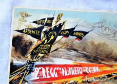 Rarissima cartolina commemorativa 2' Reg.to d'Assalto CC.NN. 