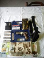 Colt Government .45 ACP