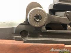 Springfield M1A .308 Winchester