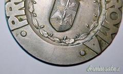 Medaglia fascista della Provincia di Roma marcata in Argento con scatola - anni '30 (REGNO D'ITALIA)