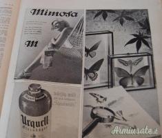 Giornale nazista d’epoca “Berliner Illustrierte Zeitung” nr. 29 del 17 luglio 1941 (GERMANIA WW2)