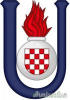 Estremamente raro decorazione da petto o brevetto da pilota militare di aerei USTASCIA (CROAZIA WW2)