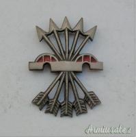 Rarissima placca per uniforme Gerarchi Truppe Nazionaliste di Franco (GUERRA DI SPAGNA 1936-1939)