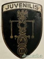DISTINTIVO D’EPOCA FASCISTA DELLA G.I.L. RARA SERIE 