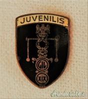 DISTINTIVO D’EPOCA FASCISTA DELLA G.I.L. RARA SERIE 