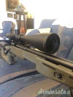 Savage 10 PREDATOR .308 Winchester