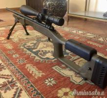 Savage 10 PREDATOR .308 Winchester