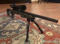 Savage 10 PREDATOR .308 Winchester