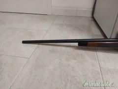 Remington 541-T .22 Long Rifle