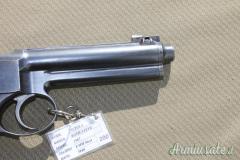 Pistola ROTH STEYR 1907 (280). SCAMBIO