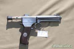 Pistola ROTH STEYR 1907 (280). SCAMBIO
