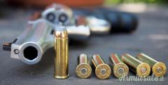 Ruger | Sturm Redhawk .44 Remington Magnum