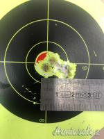 Ruger | Sturm Precision Rifle 6.5 mm Creedmoor