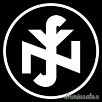 Distintivo o pin tedesco d’epoca nazista per membri del “NSV” - marcato (GERMANIA WW2)