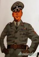 Fregio “reducistico” aquila da braccio uniforme Sottufficiali e/o Truppa “WAFFEN-SS italiane