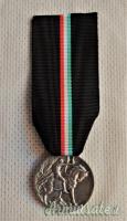 Medaglia “reducistica” commemorativa della Campagna fascista 1919-1922 - conio in Argento 800