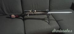 Remington 700 vs sf .308 Winchester