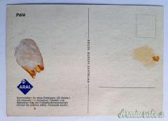 RARA CARTOLINA TEDESCA CON FOTO DI “PELÉ” DURANTE LO SVOLGIMENTO DELLA “FIFA WORLD CUP 1966”