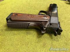 Astra Arms, Daytona, Sportiva, .45 ACP