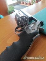 Smith & Wesson 686 .357 Magnum  |  9x31mmR  | .353 Casull