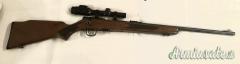 Winchester 320 .22 Long Rifle