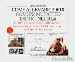 COME ALLEVARE TORDI COMUNI, MUTATI ED ESOTICI nel 2024