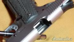 Bull 45 ACP