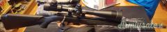 Rossi 8117     calibro17 HMR