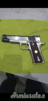Para Ordnance LDA Limited .45 ACP classificazione Sportiva