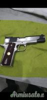 Para Ordnance LDA Limited .45 ACP classificazione Sportiva