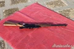 Carabina WINCHESTER mod. 290 .22 lr (64)