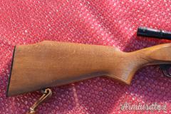 Carabina ANSCHUTZ mod. 520 .22 Long Rifle