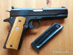 Colt Government .22 LR Long Rifle