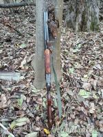 Bernardelli roma 6 cal.12