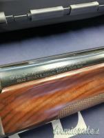 Benelli Pasion 12